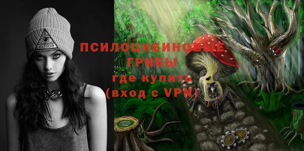 мяу мяу мука Алзамай