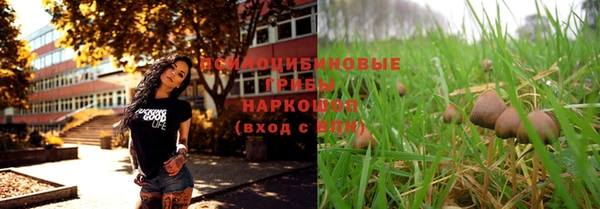 мяу мяу мука Алзамай