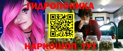 spice Дубна