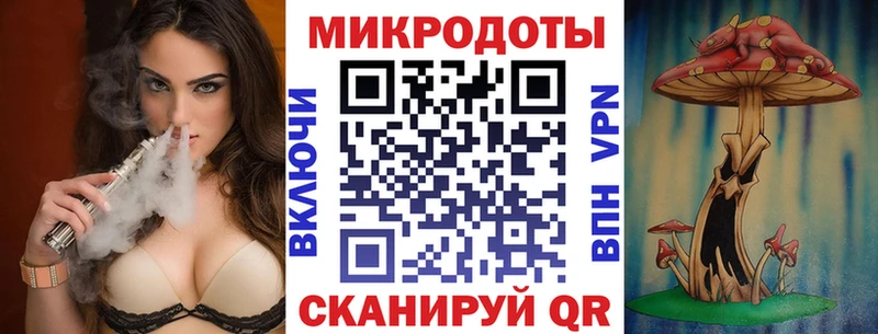 Галлюциногенные грибы Psilocybine cubensis  Осинники 
