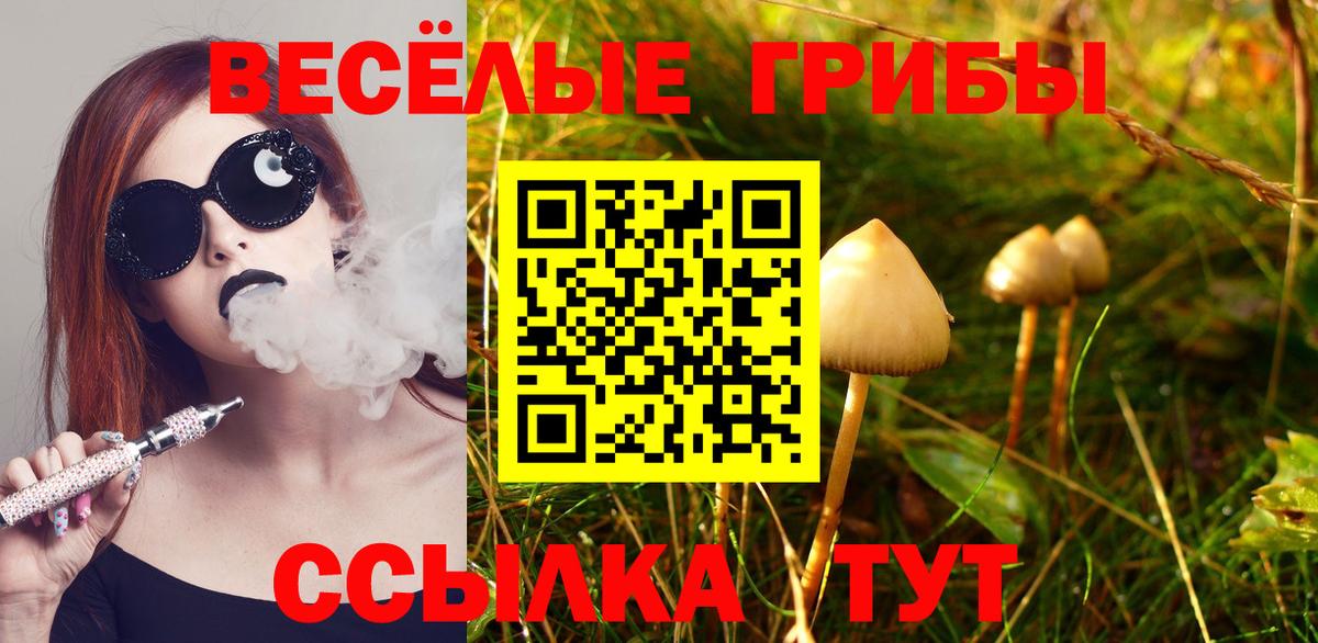Псилоцибиновые грибы Cubensis  Вход с VPN  Псилоцибиновые грибы GOLDEN TEACHER  Осинники 