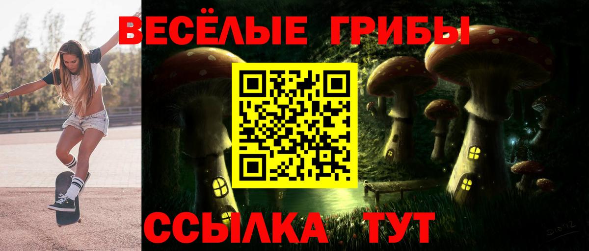 Псилоцибиновые грибы Psilocybine cubensis Осинники